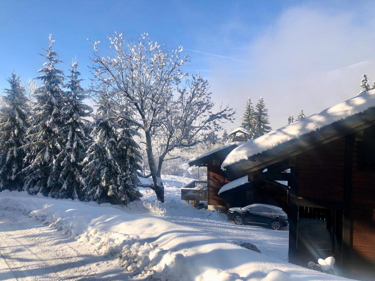 Le Chalet De Nabor 莱热 外观 照片